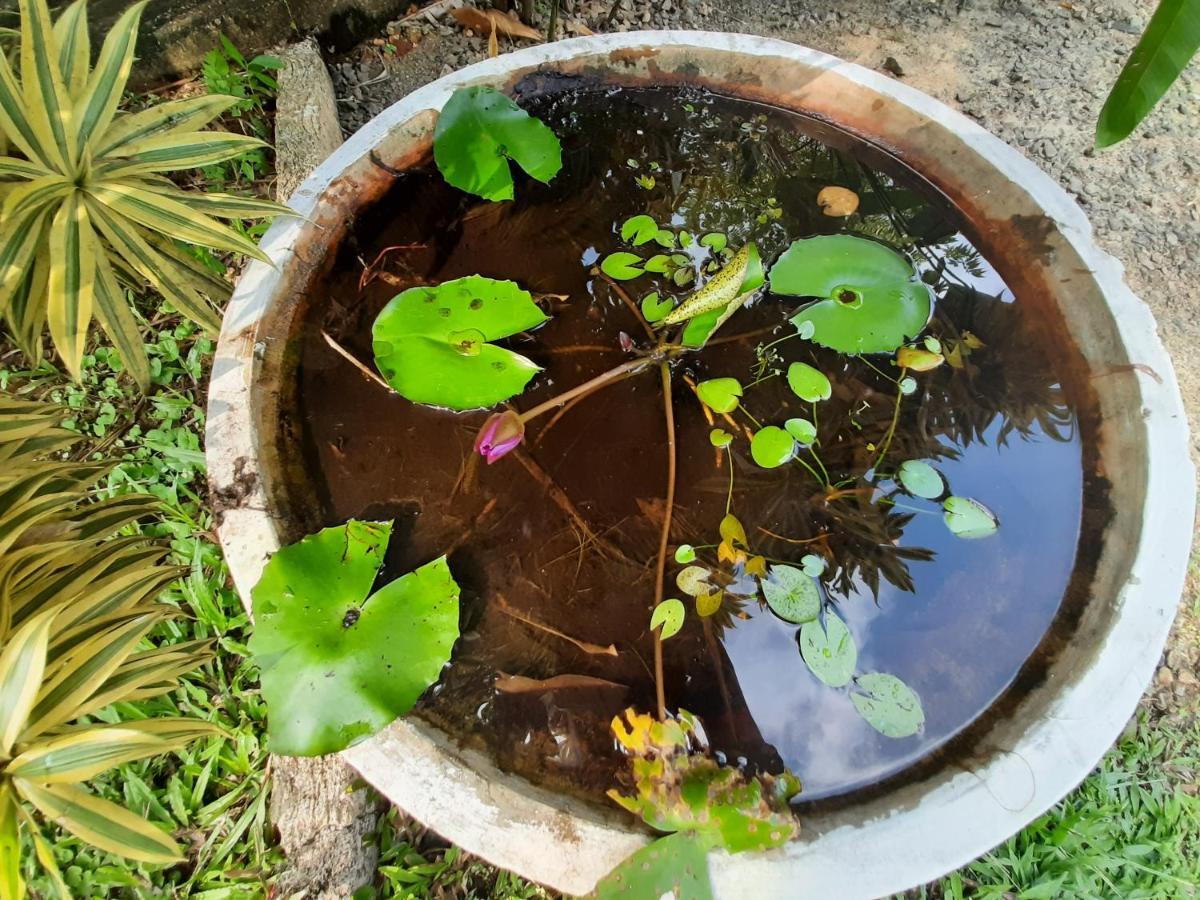 Mass Eco Cabana Yoga & Spa - Unawatuna Dış mekan fotoğraf